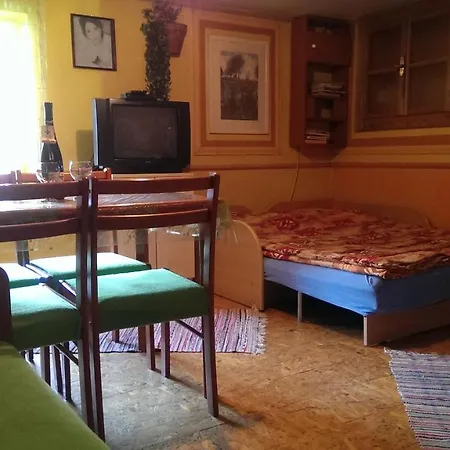 Ivka Lestiny Holiday home *